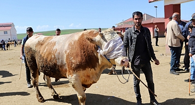 Doğu'dan Batıya kurbanlık sevkiyatı hız kazandı   