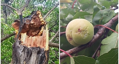 Dolu vurdu zarar büyük!