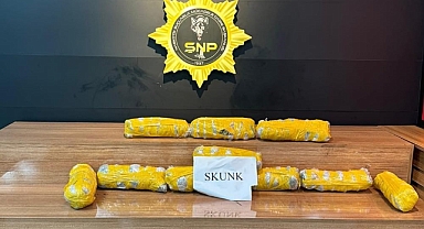 Durdurulan araçtan skunk maddesi çıktı