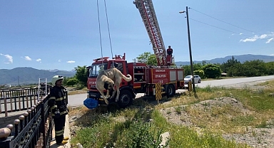Ekipler seferber oldu!