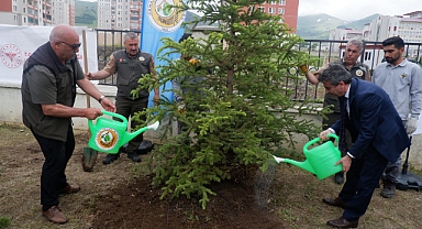 Erzurum'da 80 ağaç fidanını toprakla buluştu
