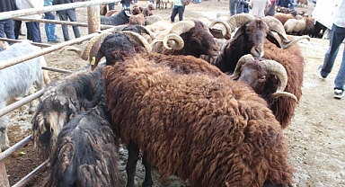 Fiyatlar arttı, pazar durgun!