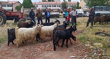 Hayvan pazarlarında arife yoğunluğu