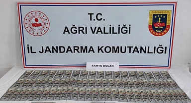 Jandarmadan sahte dolar operasyonu   