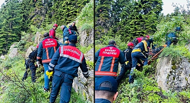 Kamyonet uçuruma yuvarlandı, sürücüsü hayatını kaybetti