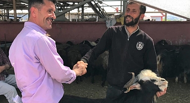 Kol koparan pazarlıklar sürüyor