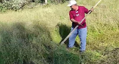 Köylülerin ot biçme mesaisi başladı