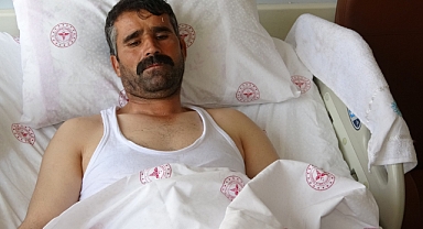 Kurbanlık seçerken hayvan tepti