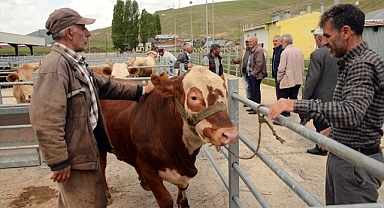 Kurbanlıklar alıcı bekliyor