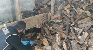 Odunluğa saklamışlar! ‘Kukla’ operasyonunda ele geçirildi