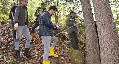 Ormanlar öğrencilere hem dershane hem gelir kapısı oldu