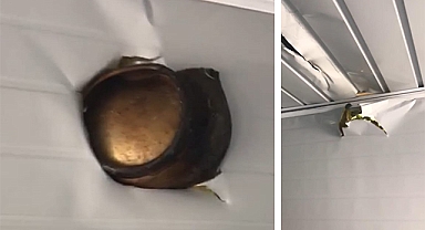 Piknik tüpü bomba gibi patladı!