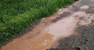Sağanak sele dönüştü, tarım arazileri zarar gördü