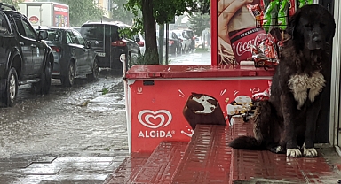 Sağanak, zor anlar yaşattı