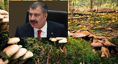 Sağlık Bakanı Koca'dan 'Mantar' uyarısı