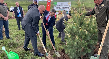 Şehidin hatırasına bin ağaç