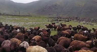 Selden son anda kurtuldular