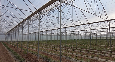 Seracılık sektörü büyüyor