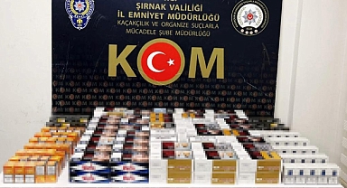 Sınırda operasyon! 133 gözaltı