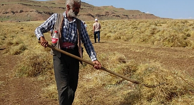 Son yılların en bereketli hasadı