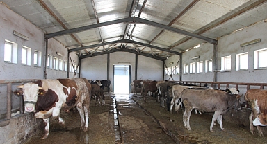 'Şövalye' alıcısını bekliyor   