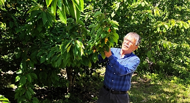 Tek umutları ihracatçıların gelmesi   