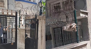 Tellere sıkışan kedi itfaiye tarafından kurtarıldı