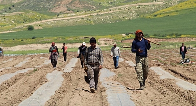 Terör yok, tarım var!