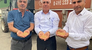 TMO, hububat alımlarına başladı   