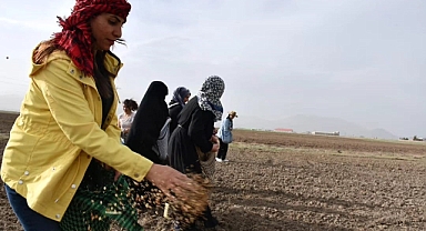 Toprağa hayat verdiler