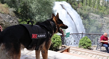 Tortum Şelalesi'nin güvenliğinden K9 Duman sorumlu