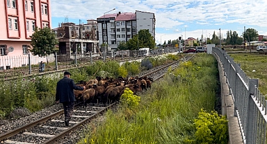Tren raylarında tehlikeli pazar yolculuğu