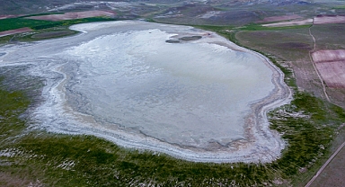 Yağışlarla yeniden hayat buldu