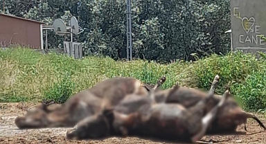 Yangında her şeyini kaybetti!