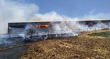 50 kamyon saman balyası kül oldu