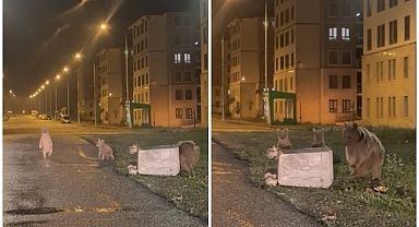 Ailecek kameralara yakalandılar