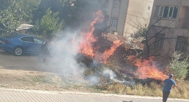 Alevler evlere sıçramadan söndürüldü