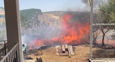 Anız yangını bahçeye sıçradı