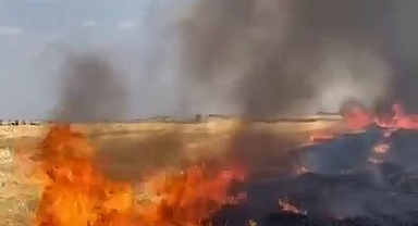 Anız yangını korkuttu!