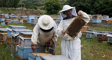 Arıcı çift yayla yayla kalite arıyor!