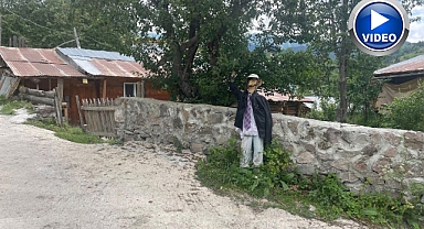Ayılar köylüleri canından bezdirdi:
