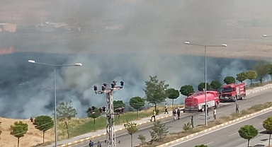 Buğday tarlası alev alev yandı   