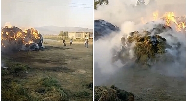 Çıkan yangında 20 bin bağ ot kül oldu