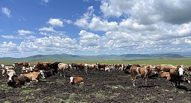 Korkutan hastalık kontrol altına alınmaya çalışılıyor