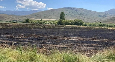 Ekili 10 dekar tarla küle döndü   