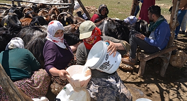 Ekonomiye dev katkı