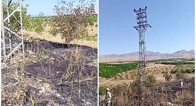 Elektrik direğinden çıkan kıvılcım 5 dönümlük bahçeyi kül etti