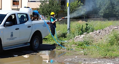 Erzurum Büyükşehir’den ilaçlama çalışması