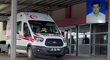 Erzurum'da yılan paniği! 