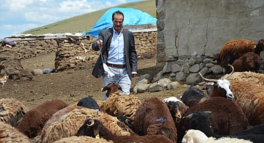 Erzurumlu çiftçi devletten aldığı hibeyle sürü sahibi oldu